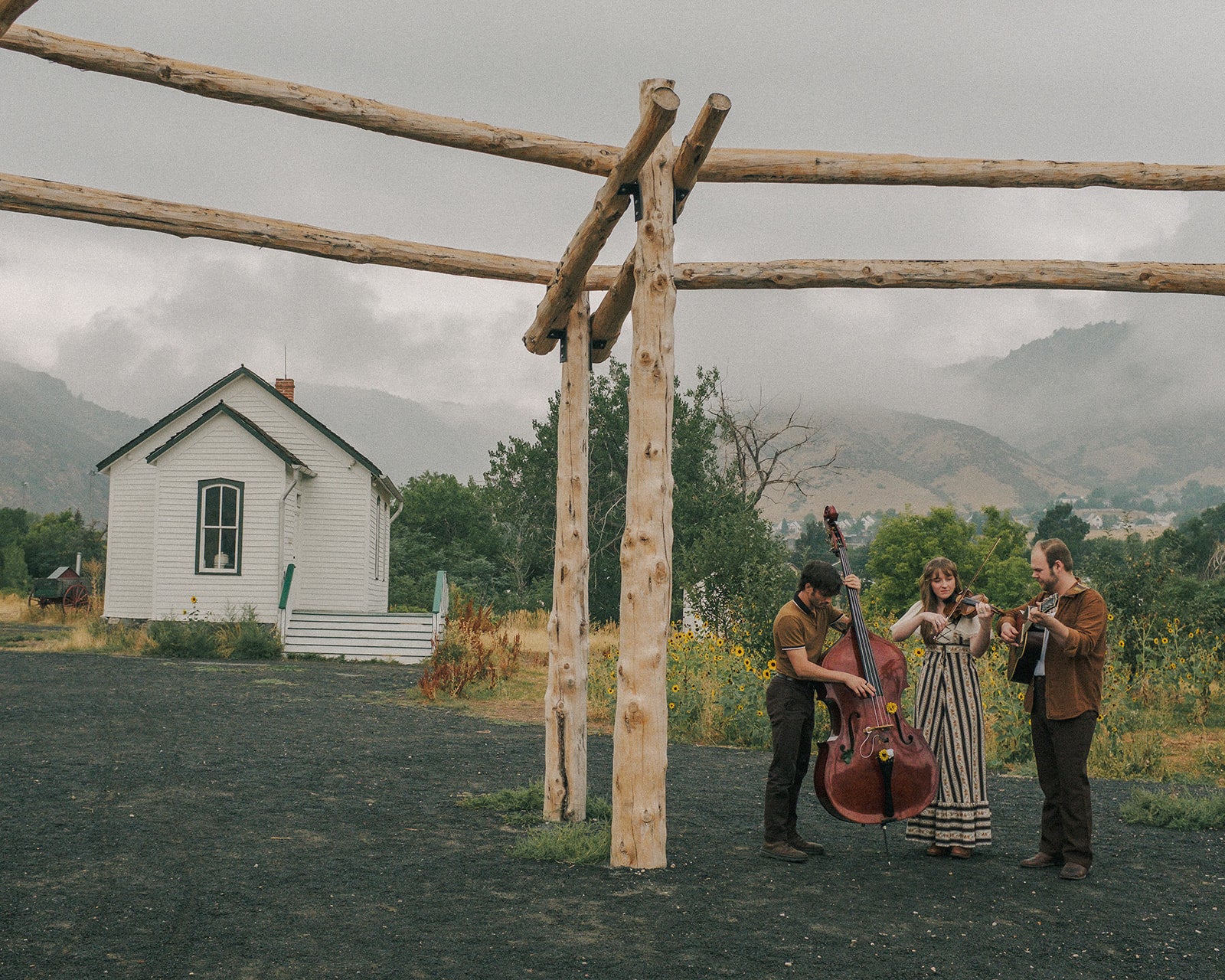 The Wildwoods Bundle