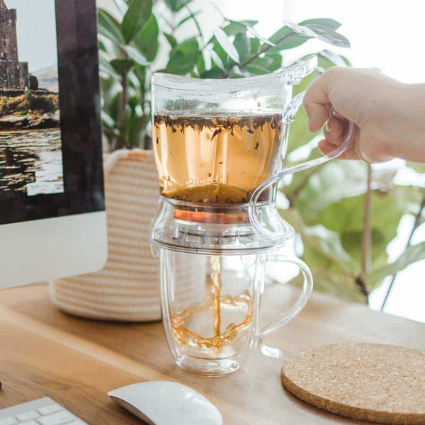 Grosche Smart Infuser Loose Leaf Tea Steeper - Clear - Coffee Roaster