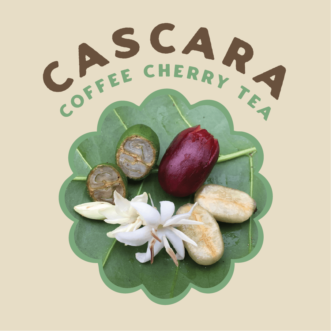Cascara - Pacamara Coffee Cherry Tea