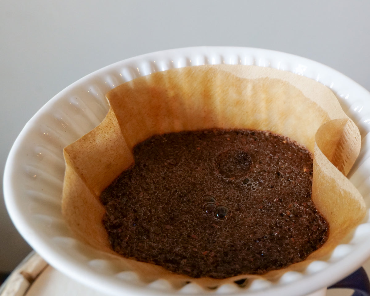 Melitta White 1-Cup Pour-Over Porcelain