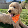 Suns Out Tongues Out - Dog Bandana