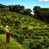 Honduras | Marcala, La Paz Natural Comsa