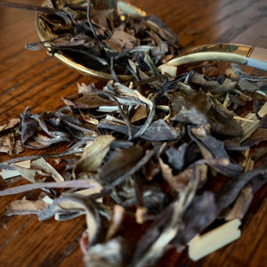Dragon Fruit White Tea