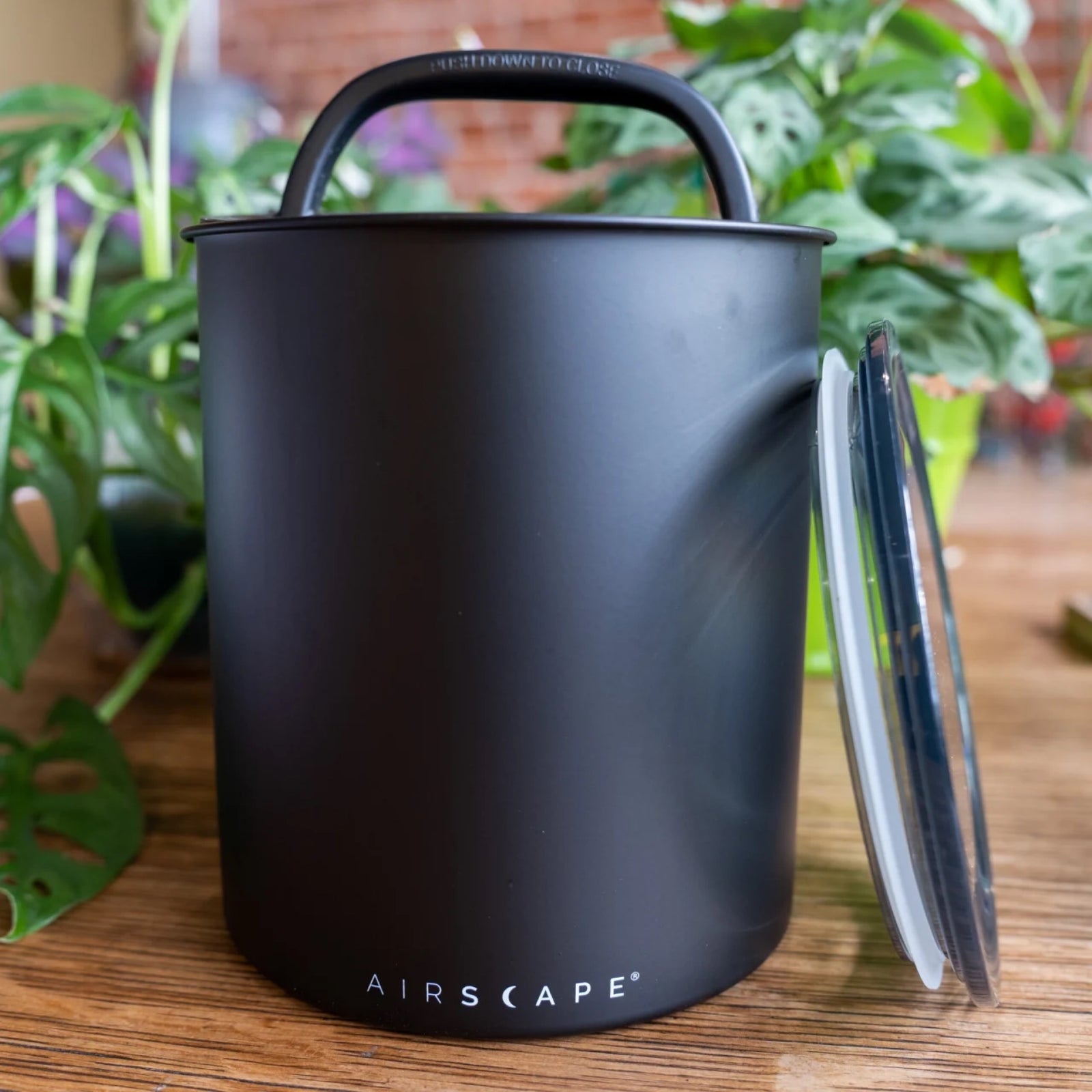Kilo Airscape Container (2 Pounds+)