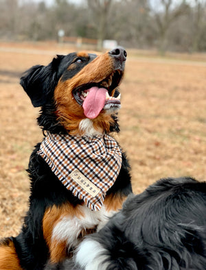 Checker Flannel - Dog Bandana